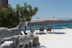 family villas