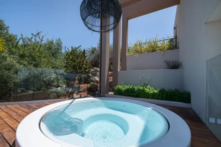  jacuzzi hot tub