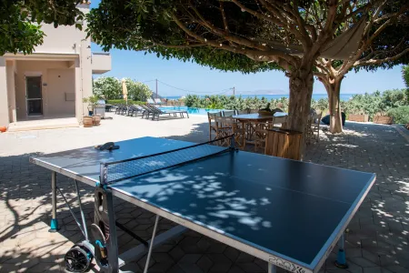  ping-pong