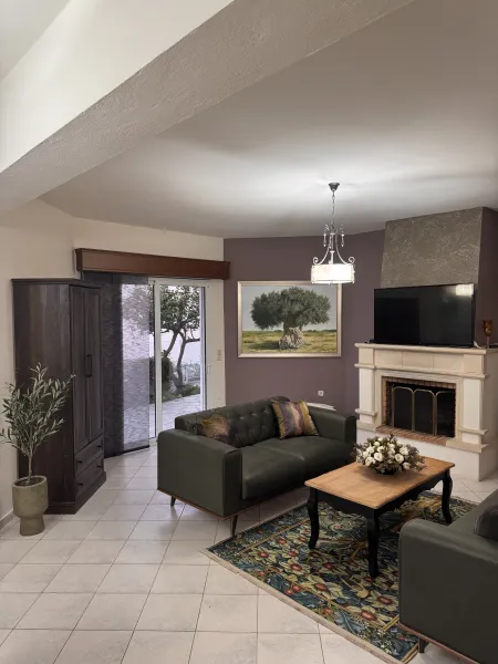  living room and fireplace