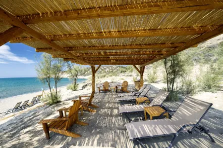  Sunbeds and chairs under shaded pergola on beach