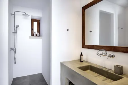  Bathroom with sink, mirror, and shower