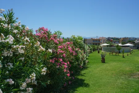  Plantation