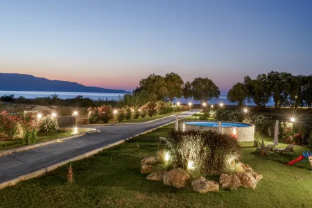  Night garden view