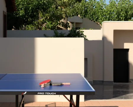  ping pong