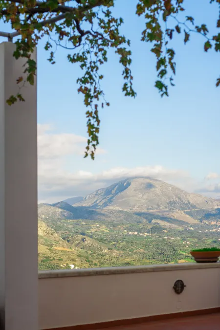  View from terrace