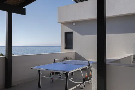  ping pong table