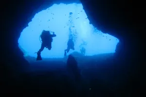 Cave of Elephants