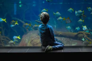 Heraklion for Kids: Where to go and have fun
