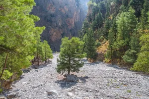 Samaria Gorge