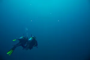 Scuba Diving (Time to Get Yourself Wet)