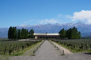 5 Top Cretan wineries and vineyards to visit