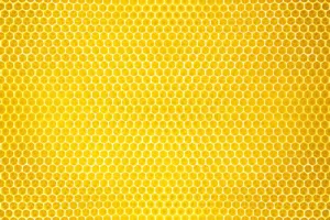 Crete of Honey- honey of Crete