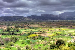 Take a Walk on the Wild Side (in Crete and in life)